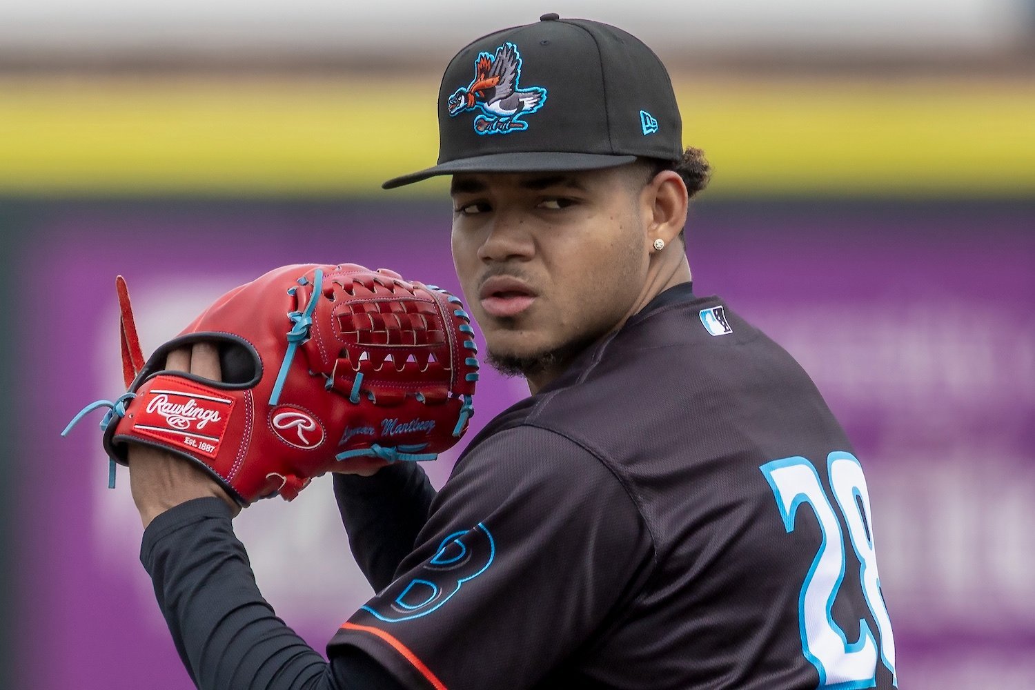 liomar martinez delivery beloit_Ty McElroy.jpg