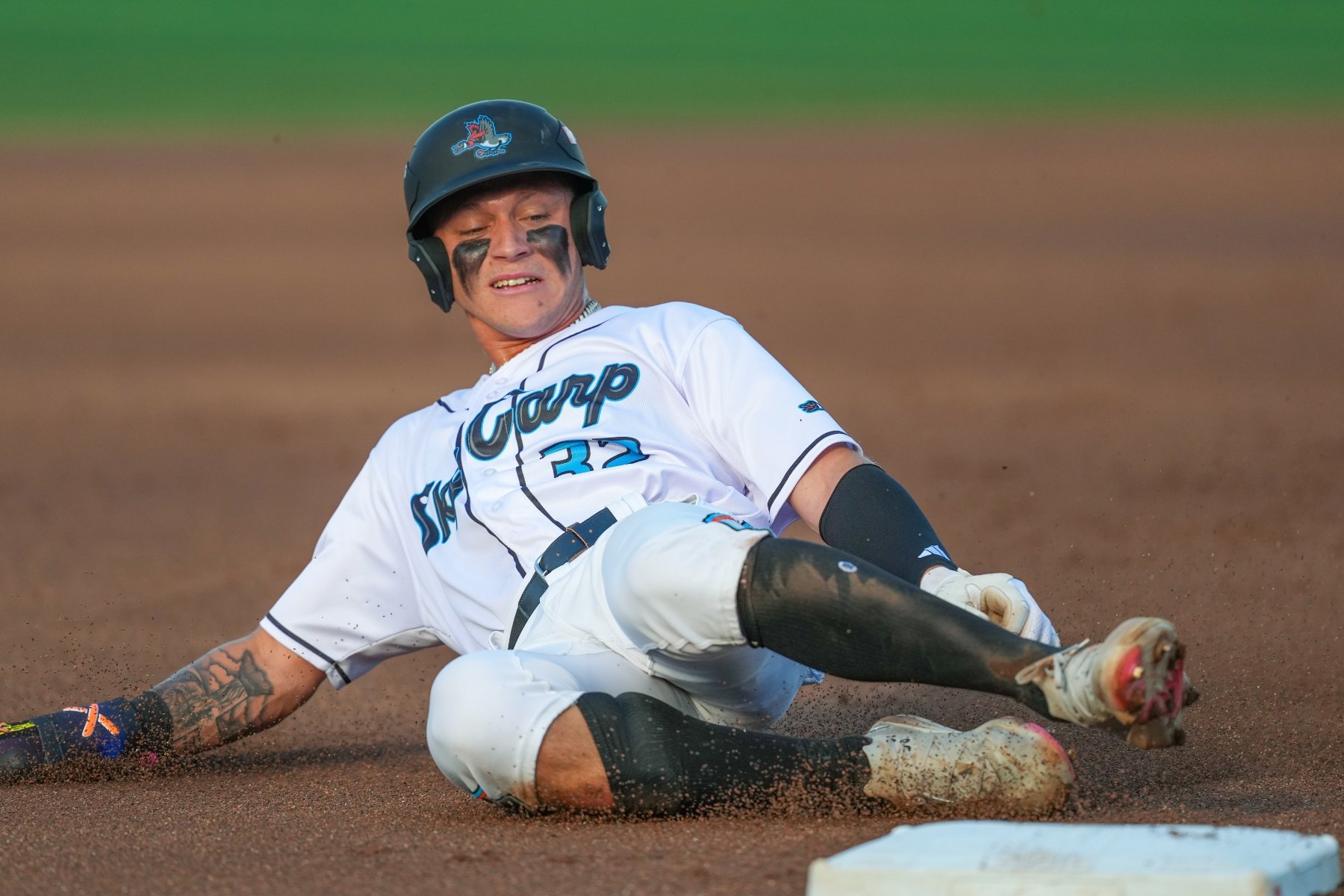 cam cannarella sliding beloit_Ty McElroy.jpg